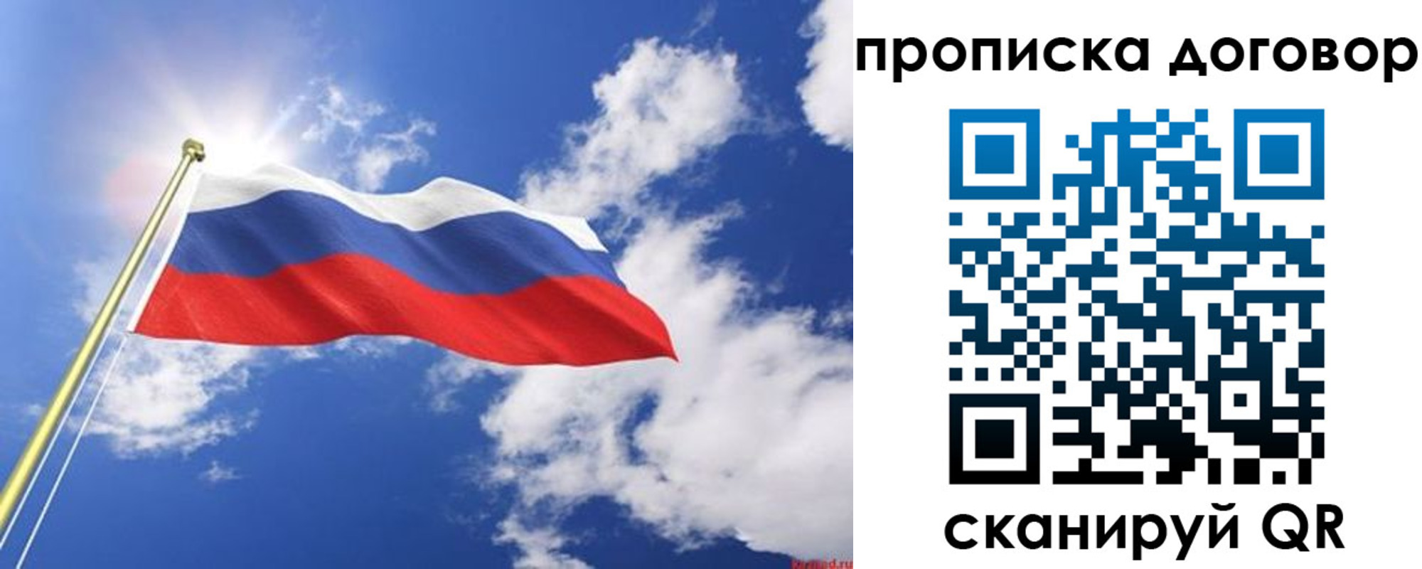 прописка гарантия в Долгопрудном